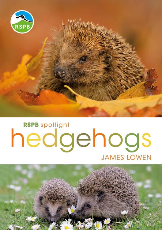 Produktbild: RSPB Spotlight Hedgehogs