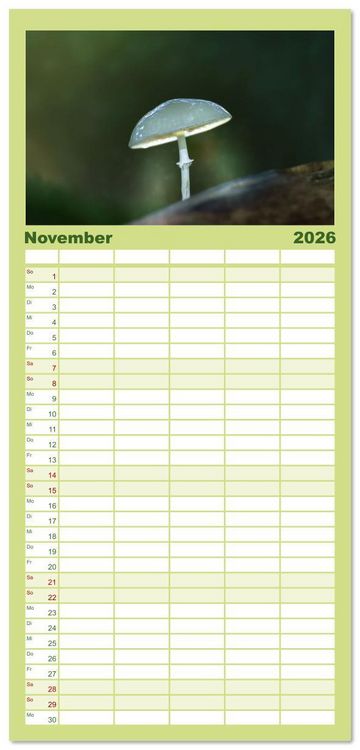 Produktbild: Familienplaner 2026 - Wundersame Pilzwelten mit 5 Spalten (Wandkalender, 21 x 45 cm) CALVENDO