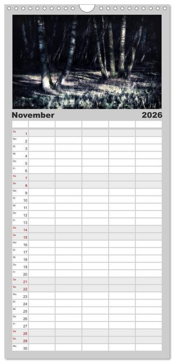 Produktbild: Familienplaner 2026 - Mystische W&auml;lder mit 5 Spalten (Wandkalender, 21 x 45 cm) CALVENDO