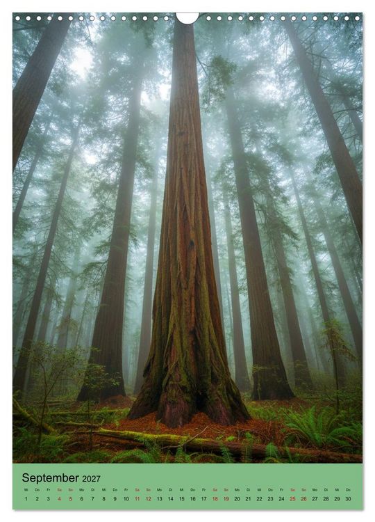 Produktbild: Sequoia Giganten (Wandkalender 2027 DIN A3 hoch), CALVENDO Monatskalender