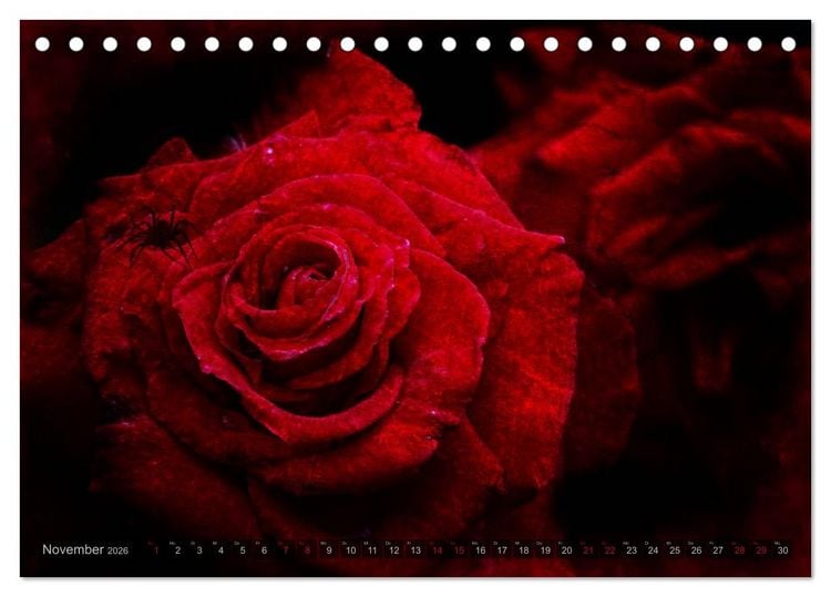 Produktbild: Gothic Rose - Rosen aus dem Garten der Finsternis (Tischkalender 2026 DIN A5 quer), CALVENDO Monatskalender