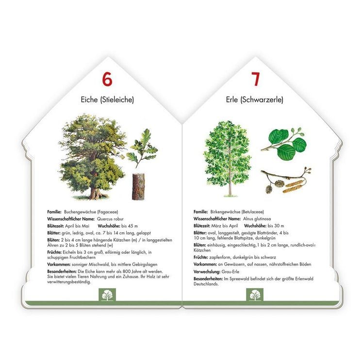 Produktbild: Tr&ouml;tsch Sachbuch 101 heimische Pflanzen, die du kennen solltest
