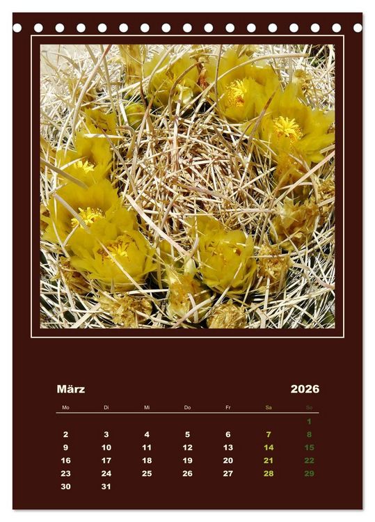 Produktbild: Wilde Kakteen Amerikas (Tischkalender 2026 DIN A5 hoch), CALVENDO Monatskalender