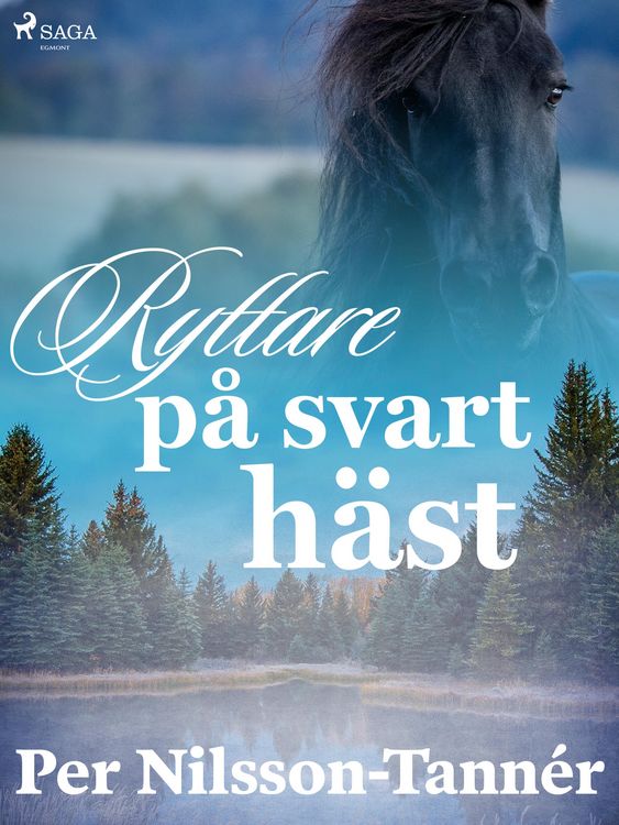 Produktbild: Ryttare p&aring; svart h&auml;st