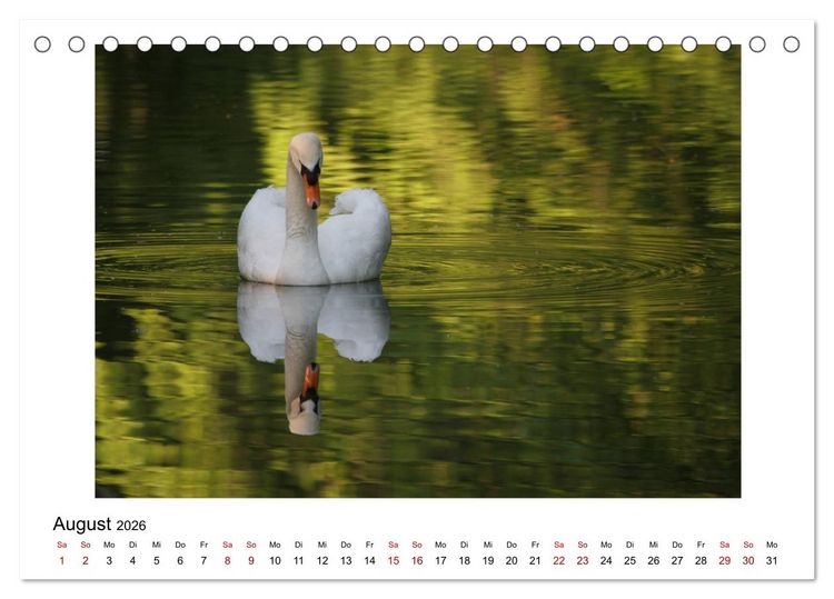Produktbild: Nymphenburger Park (Tischkalender 2026 DIN A5 quer), CALVENDO Monatskalender