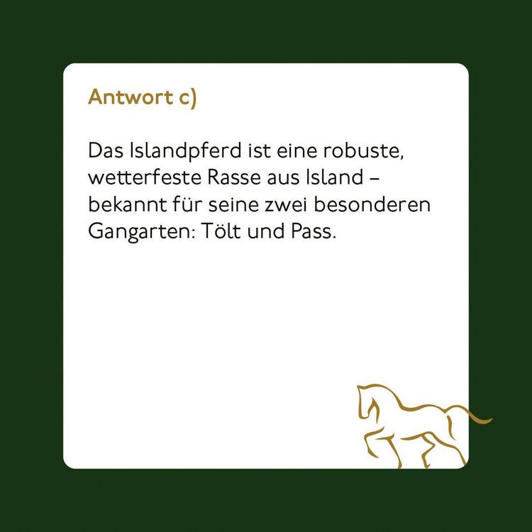 Produktbild: Pferde und Reiten - Das Quiz