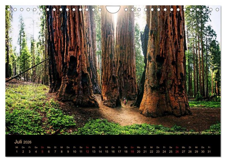 Produktbild: USA Der S&uuml;dwesten - Einzigartige Monumente (Wandkalender 2026 DIN A4 quer), CALVENDO Monatskalender