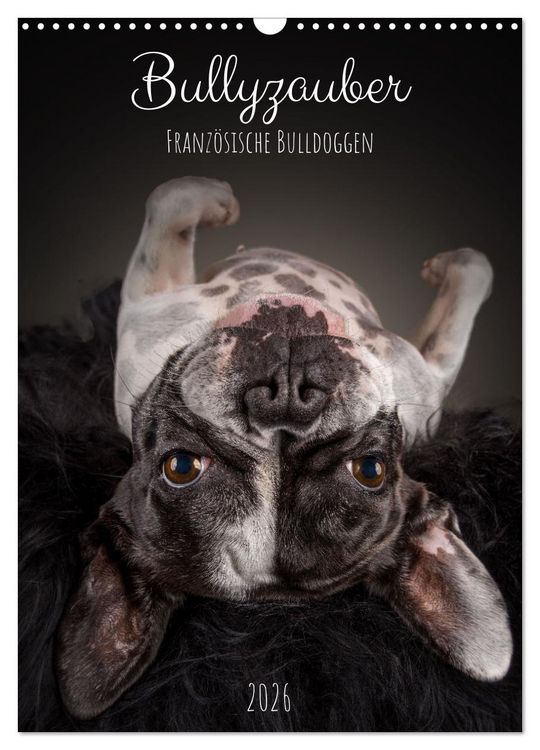 Produktbild: Bullyzauber - Franz&ouml;sische Bulldoggen (Wandkalender 2026 DIN A3 hoch), CALVENDO Monatskalender