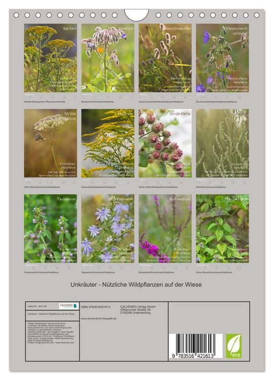 Produktbild: Unkr&auml;uter - N&uuml;tzliche Wildpflanzen auf der Wiese (Wandkalender 2026 DIN A4 hoch), CALVENDO Monatskalender