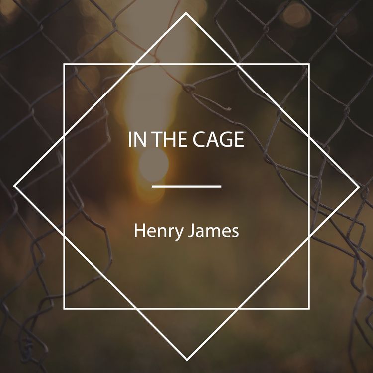 Produktbild: In the Cage