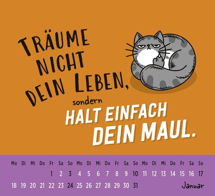 Produktbild: Mini-Kalender 2027: Neues Jahr neues &hellip; ach halt die Klappe!