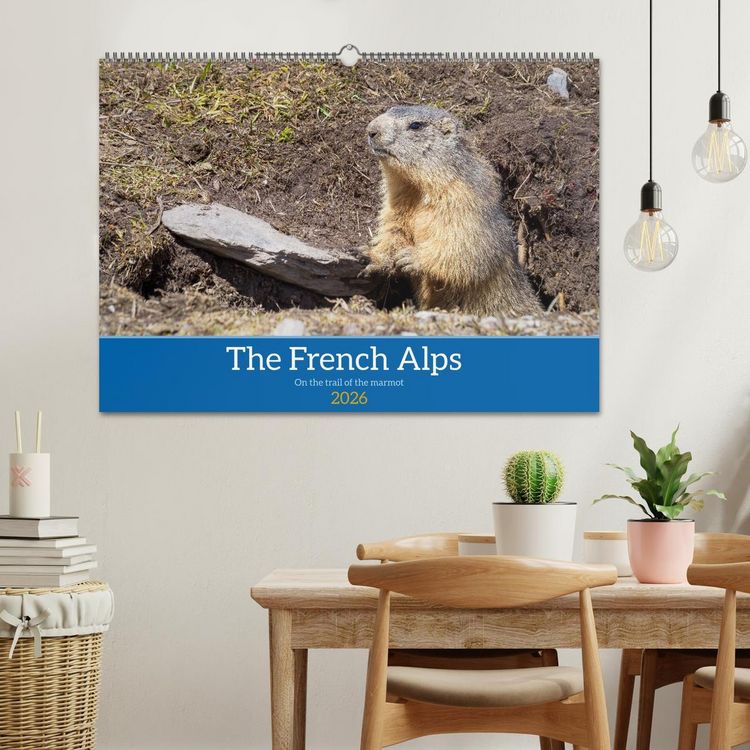 Produktbild: The French Alps, on the trail of the marmot (Wall Calendar 2026 DIN A2 landscape), CALVENDO 12 Month Wall Calendar