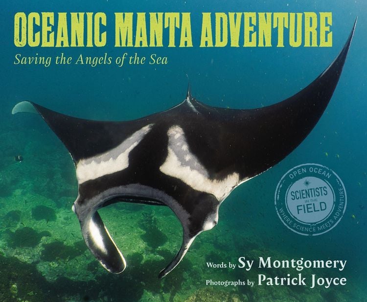 Produktbild: Oceanic Manta Adventure
