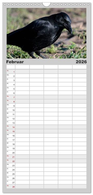 Produktbild: Familienplaner 2026 - Rabenschwarze Impressionen - meike-ajo-dettlaff.de via wildvogelhlfe.org mit 5 Spalten (Wandkalender, 21 x 45 cm) CALVENDO