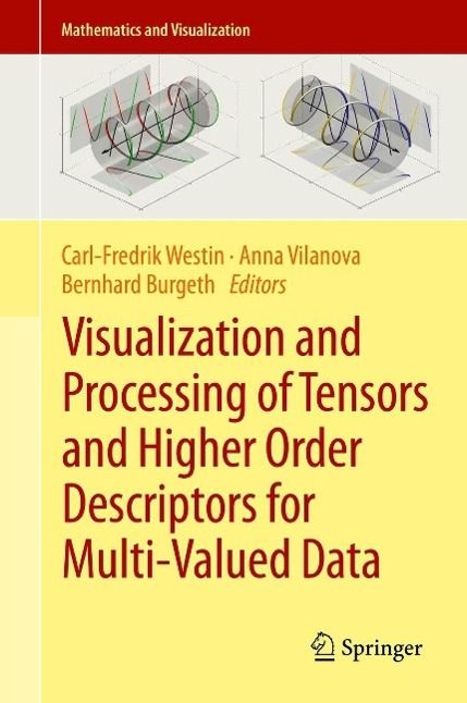 Produktbild: Visualization and Processing of Tensors and Higher Order Descriptors for Multi-Valued Data