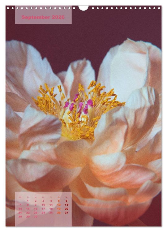 Produktbild: Die K&ouml;nigin der Rosen (Wandkalender 2026 DIN A3 hoch), CALVENDO Monatskalender