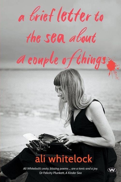 Produktbild: A Brief Letter to the Sea About a Couple of Things