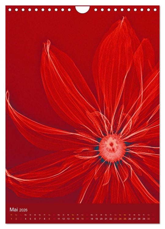 Produktbild: Durchleuchtete Blumenwelt 2026 (Wandkalender 2026 DIN A4 hoch), CALVENDO Monatskalender