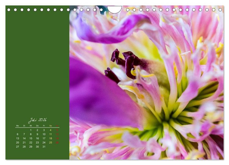 Produktbild: Bl&uuml;tenstil (Wandkalender 2026 DIN A4 quer), CALVENDO Monatskalender