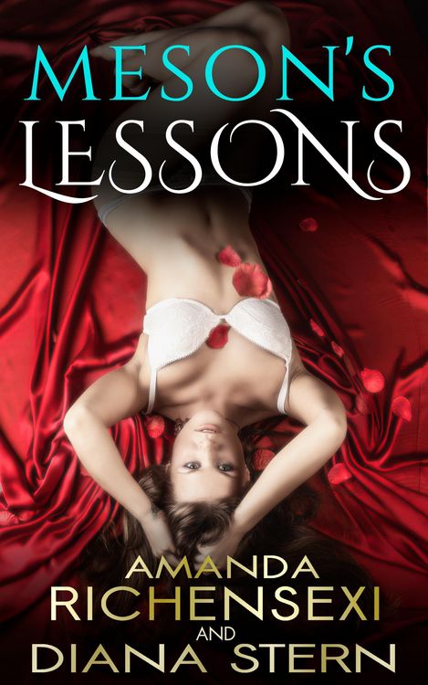 Produktbild: Meson's Lessons
