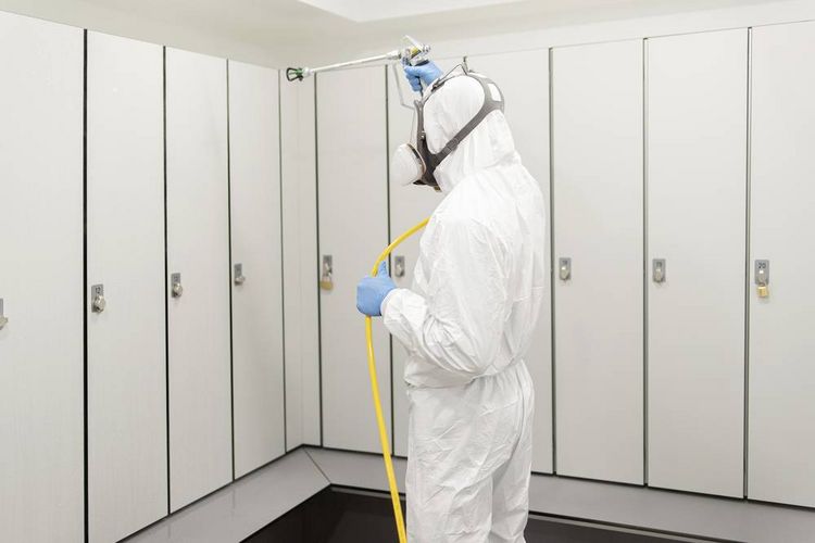 Produktbild: Wagner W 590 Flexio Farbspr&uuml;hsystem 630W F&ouml;rdermenge (max.) 500 ml/min