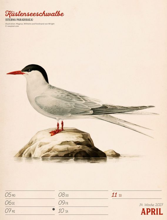 Produktbild: Wunderbare Vogelwelt Wochenplaner Kalender 2027