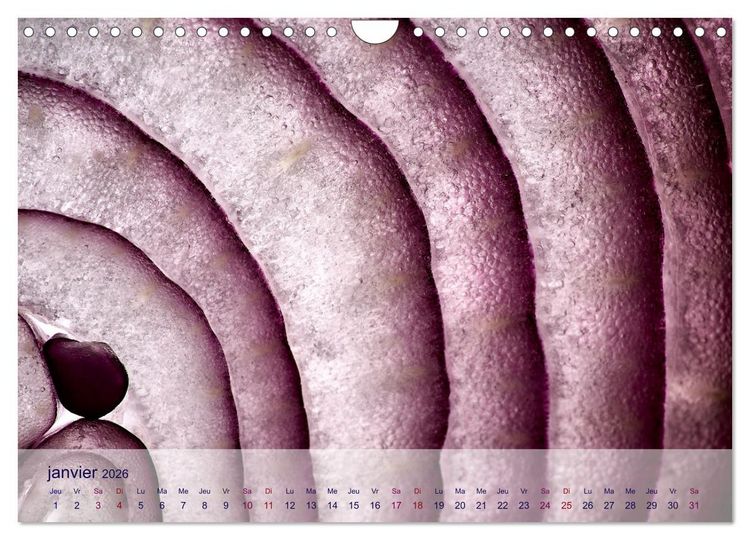 Produktbild: C&oelig;ur de fruits c&oelig;ur de l&eacute;gumes (Calendrier mural 2026 DIN A4 vertical), CALVENDO calendrier mensuel