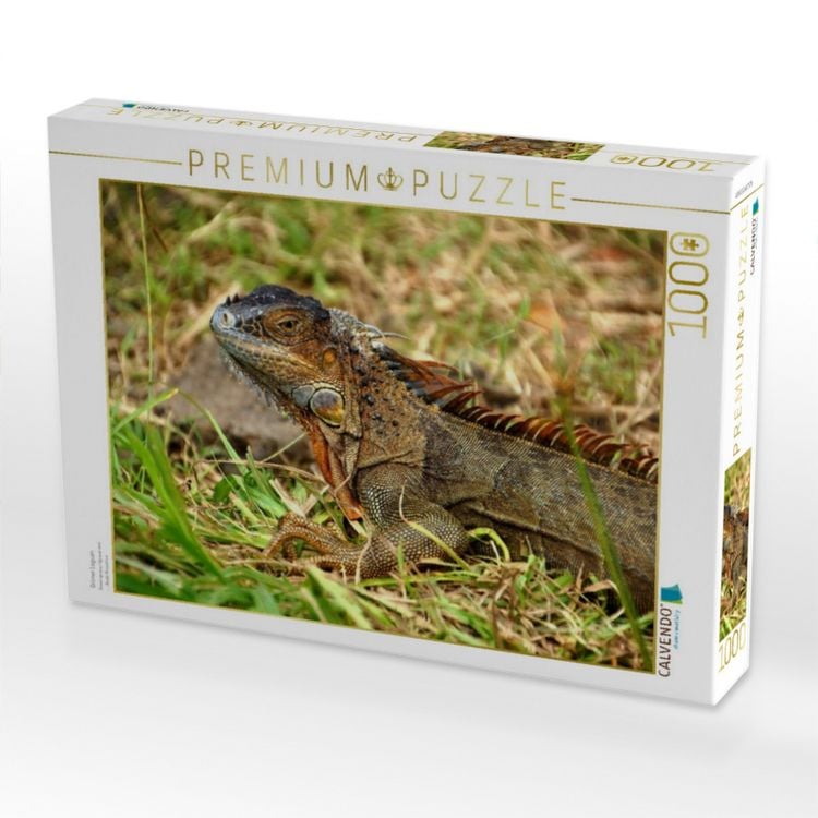 Produktbild: CALVENDO Puzzle Gr&uuml;ner Leguan | 1000 Teile Lege-Gr&ouml;&szlig;e 64x48cm Foto-Puzzle f&uuml;r gl&uuml;ckliche Stunden
