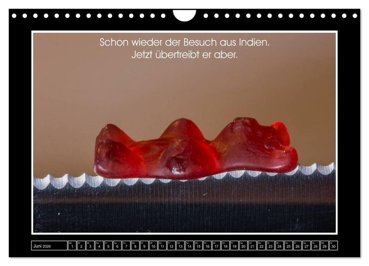 Produktbild: Wissenswertes aus der Welt der Gummib&auml;ren (Wandkalender 2026 DIN A4 quer), CALVENDO Monatskalender