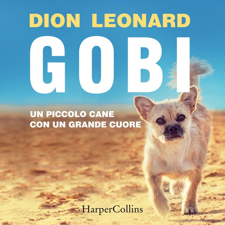 Produktbild: Gobi. Un piccolo cane con un grande cuore