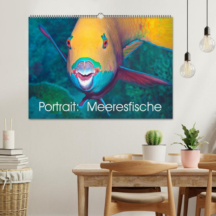 Produktbild: Portrait: Meeresfische (Wandkalender 2026 DIN A2 quer), CALVENDO Monatskalender