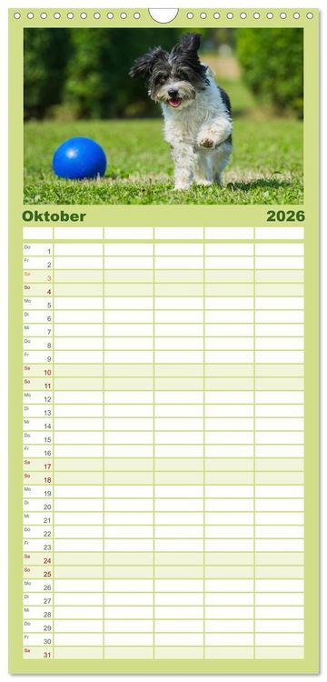 Produktbild: Familienplaner 2026 - Havaneser - Herz auf 4 Pfoten mit 5 Spalten (Wandkalender, 21 x 45 cm) CALVENDO