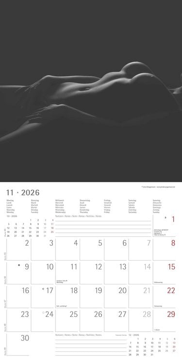 Produktbild: Feminine 2026 - Broschürenkalender 30x30 cm (30x60 geöffnet) - Kalender mit Platz für Notizen - Feminin - Bildkalender - Wandplaner - Erotikkalender