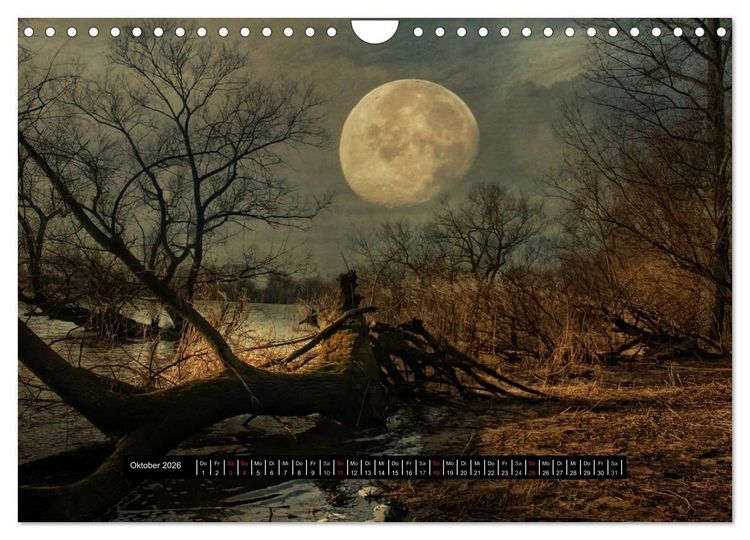Produktbild: Sehnsucht der Natur (Wandkalender 2026 DIN A4 quer), CALVENDO Monatskalender