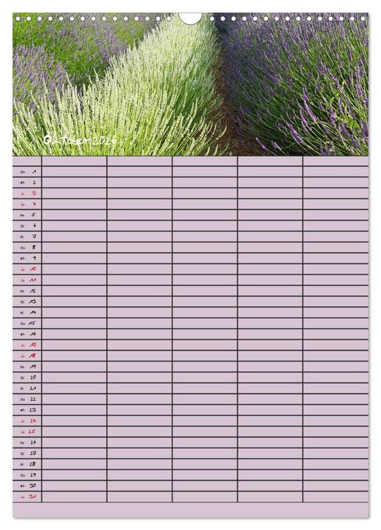 Produktbild: Naturzauber Lavendel - Familienplaner (Wandkalender 2026 DIN A3 hoch), CALVENDO Monatskalender