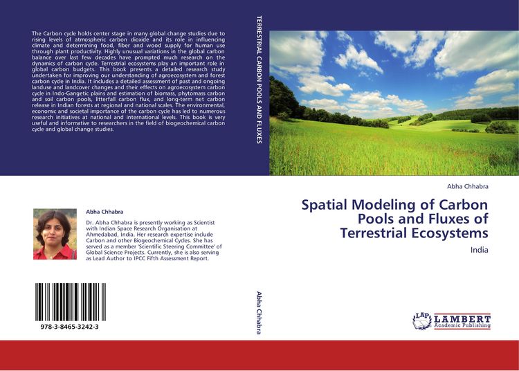 Produktbild: Spatial Modeling of Carbon Pools and Fluxes of Terrestrial Ecosystems