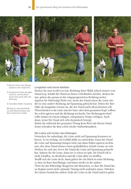Produktbild: Hundetraining mit Martin R&uuml;tter