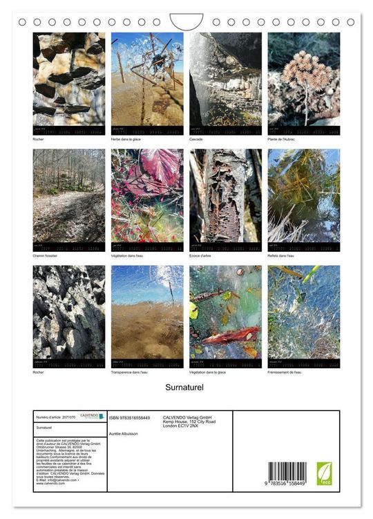 Produktbild: Surnaturel (Calendrier mural 2026 DIN A4 horizontal), CALVENDO calendrier mensuel