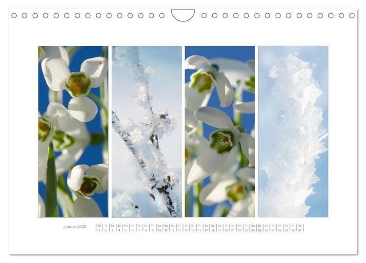 Produktbild: Gartenfreude (Wandkalender 2026 DIN A4 quer), CALVENDO Monatskalender