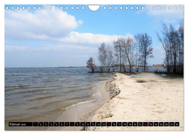 Produktbild: Steinhuder Meer, Momentaufnahmen von Christine Bienert (Wandkalender 2026 DIN A4 quer), CALVENDO Monatskalender