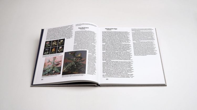 Produktbild: Sibylle Springer: Ferne Spiegel / Distant Mirrors