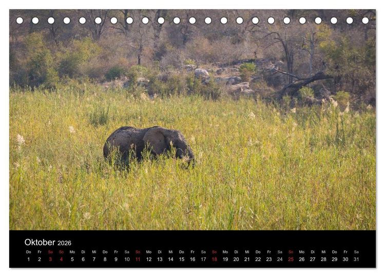 Produktbild: Wundersch&ouml;nes S&uuml;dafrika (Tischkalender 2026 DIN A5 quer), CALVENDO Monatskalender