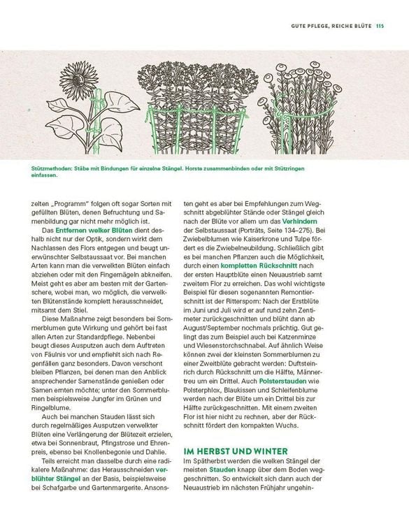 Produktbild: Das gro&szlig;e Buch der Stauden und Sommerblumen