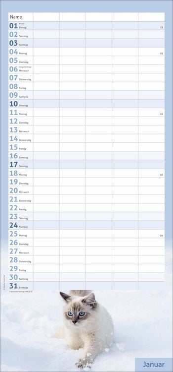 Produktbild: times&more Katzen Familienplaner 2027