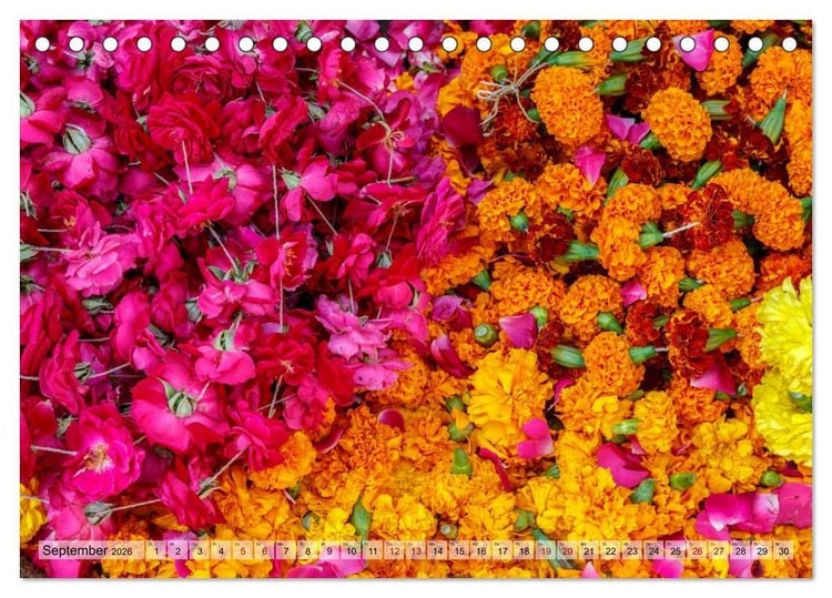 Produktbild: Indien - Spektakel der Farben (Tischkalender 2026 DIN A5 quer), CALVENDO Monatskalender