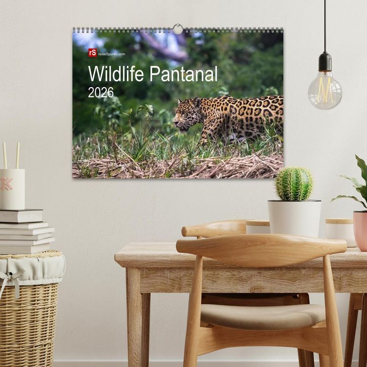 Produktbild: Wildlife Pantanal 2026 (Wandkalender 2026 DIN A3 quer), CALVENDO Monatskalender