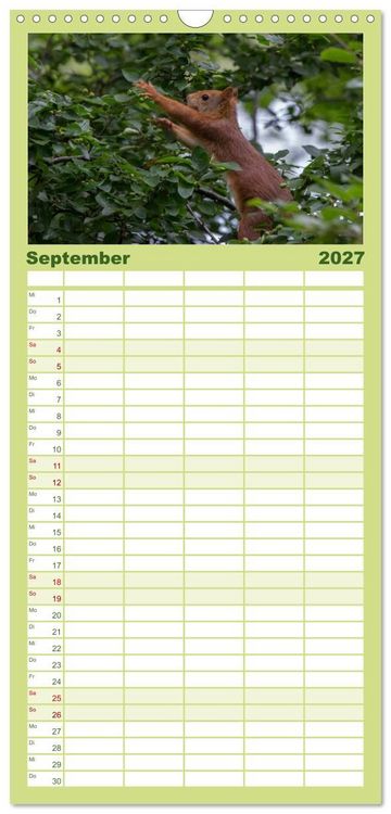 Produktbild: Familienplaner 2027 - Mit dem Eichh&ouml;rnchen durchs Jahr mit 5 Spalten (Wandkalender, 21 x 45 cm) CALVENDO