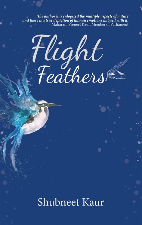 Produktbild: Flight Feathers