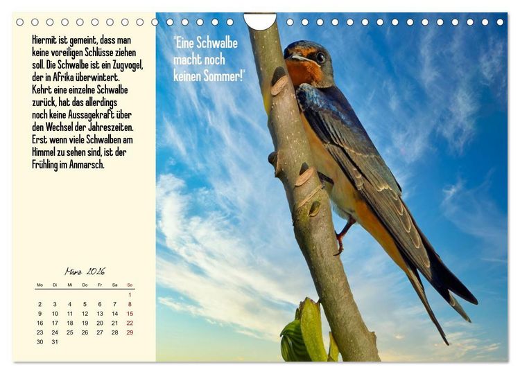 Produktbild: Illustrierte deutsche Redewendungen mit ihrer Bedeutung (Wandkalender 2026 DIN A4 quer), CALVENDO Monatskalender