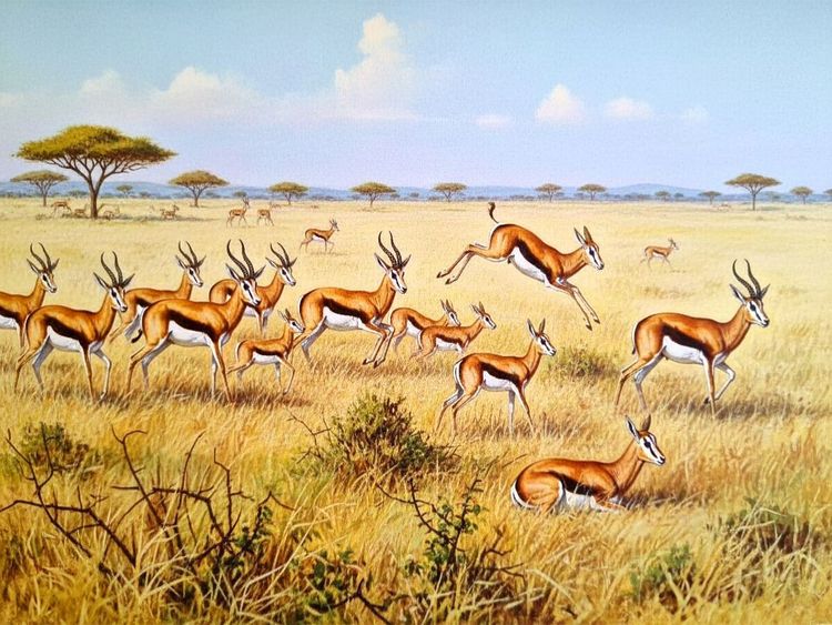 Produktbild: CALVENDO Puzzle Springb&ouml;cke mit Jungtieren als Gem&auml;lde | 1000 Teile Lege-Gr&ouml;&szlig;e 64x48cm Foto-Puzzle f&uuml;r gl&uuml;ckliche Stunden